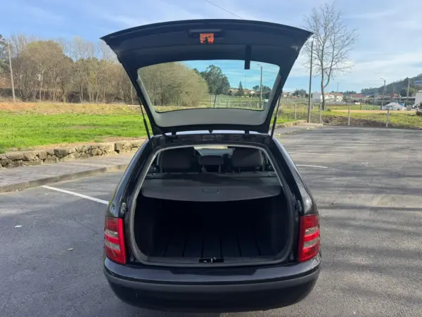 Skoda Fabia 10