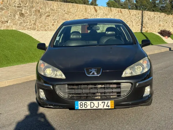 Peugeot 407 9