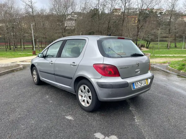 Peugeot 307 11