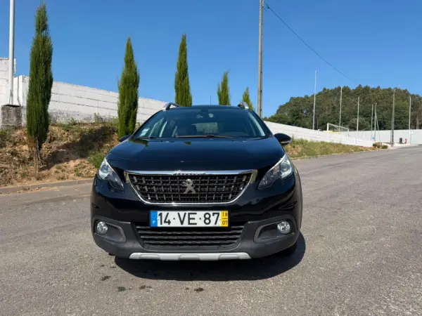 Peugeot 2008 19