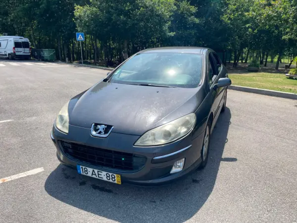 Peugeot 407 11