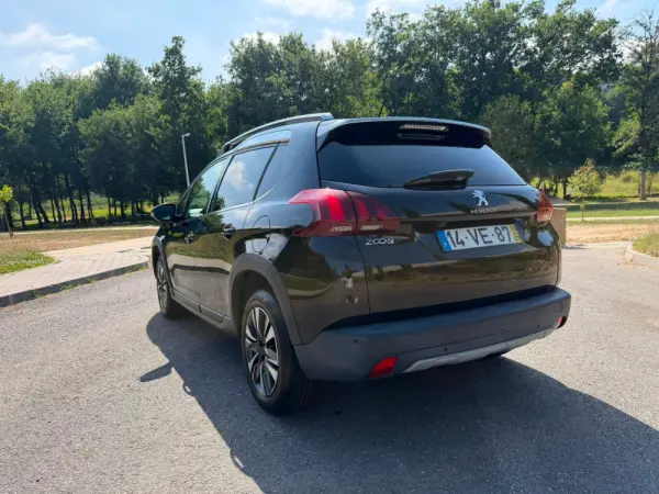 Peugeot 2008 17