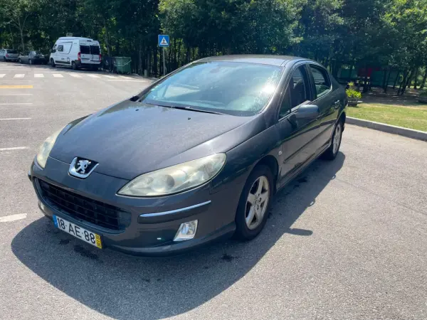 Peugeot 407 1