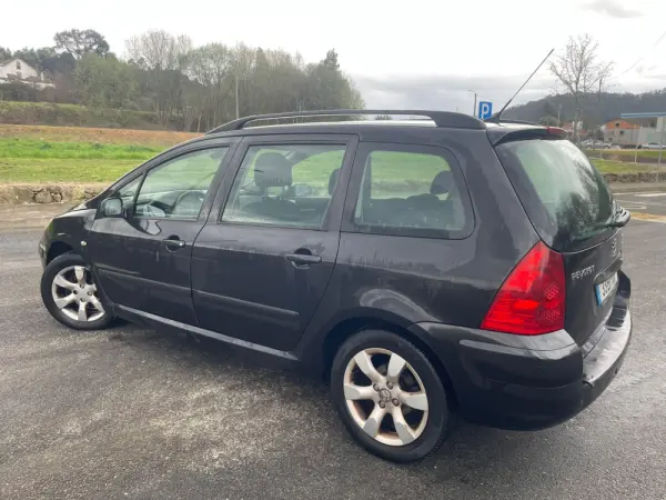 Peugeot 307 9