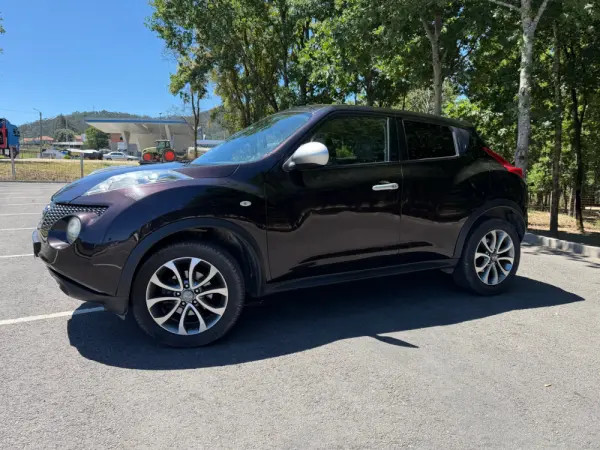 Nissan Juke 19