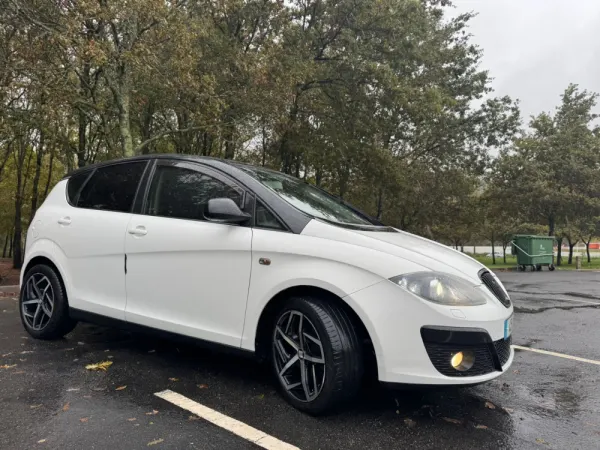 SEAT Altea 10