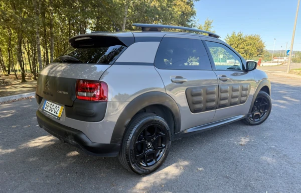 Citroën C4 Cactus 11