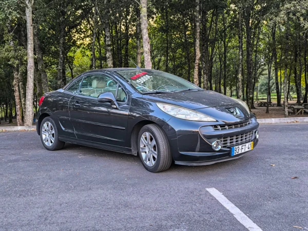 Peugeot 207 5