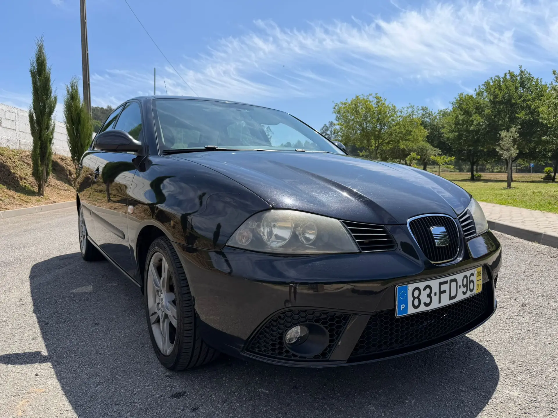SEAT Ibiza 5