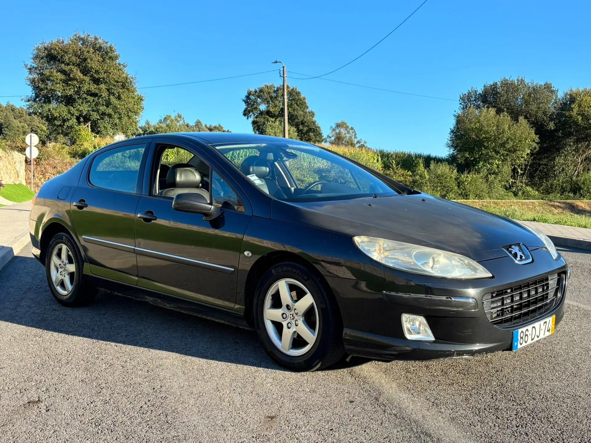 Peugeot 407 11