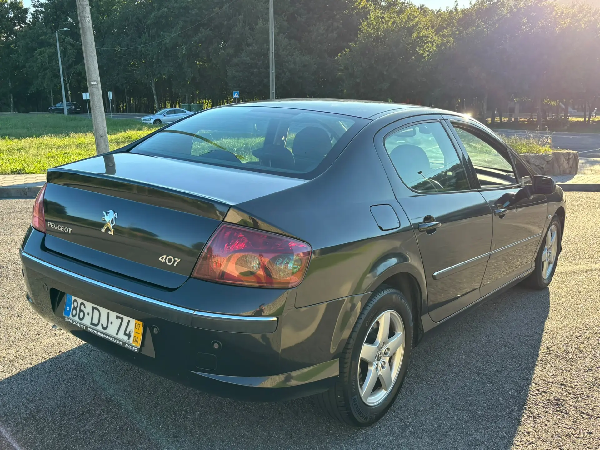 Peugeot 407 10