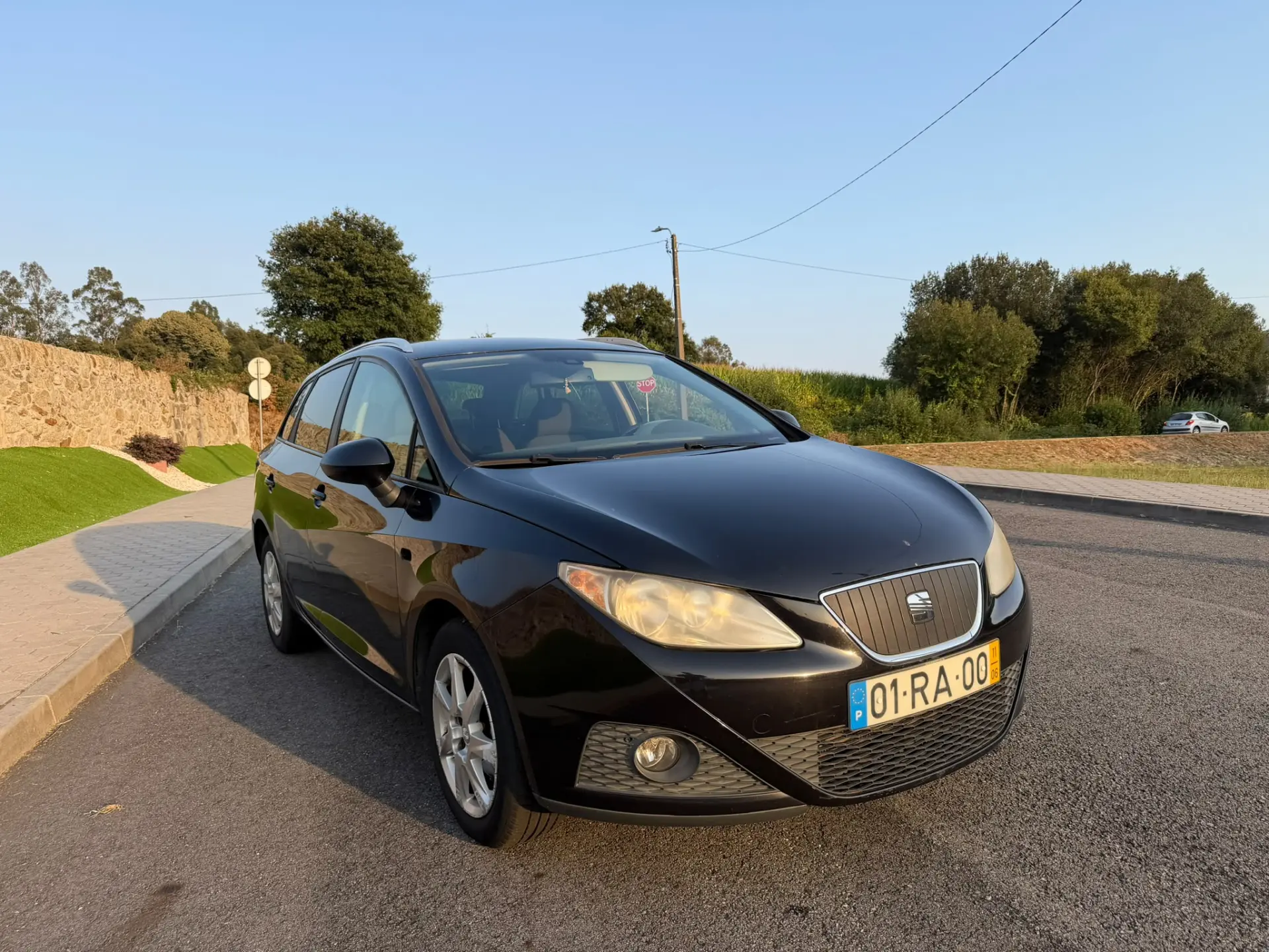 SEAT Ibiza ST 13