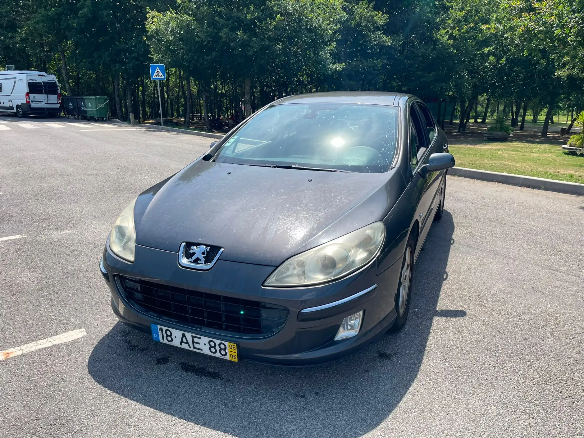Peugeot 407 11
