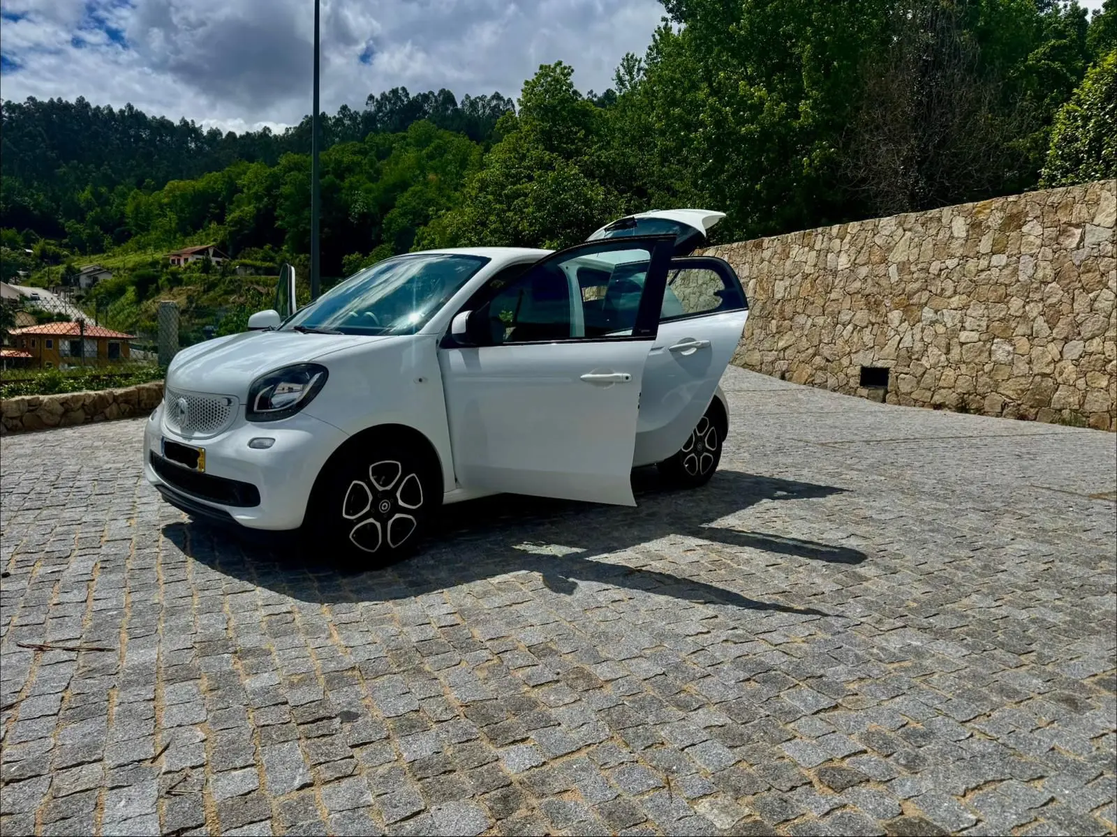Smart ForFour 12