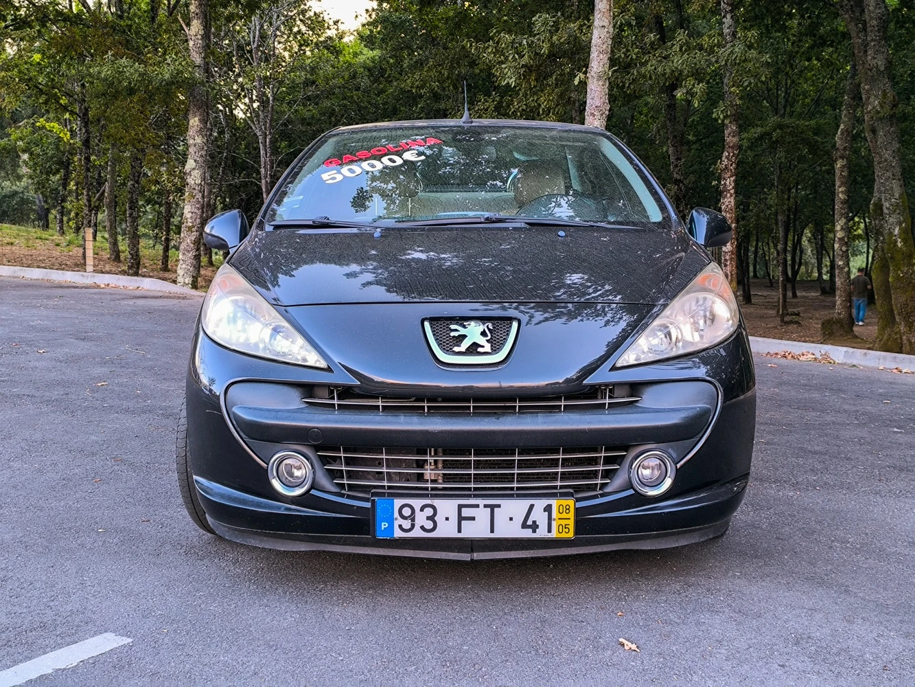Peugeot 207 10