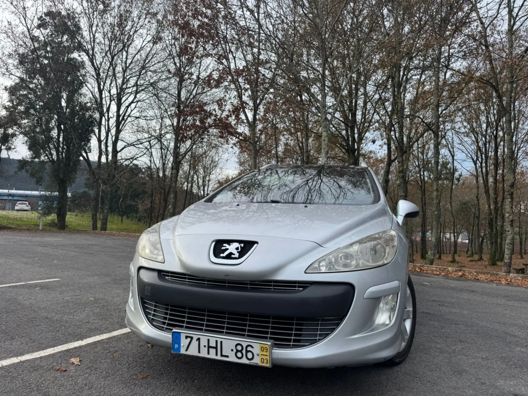Peugeot 308 22