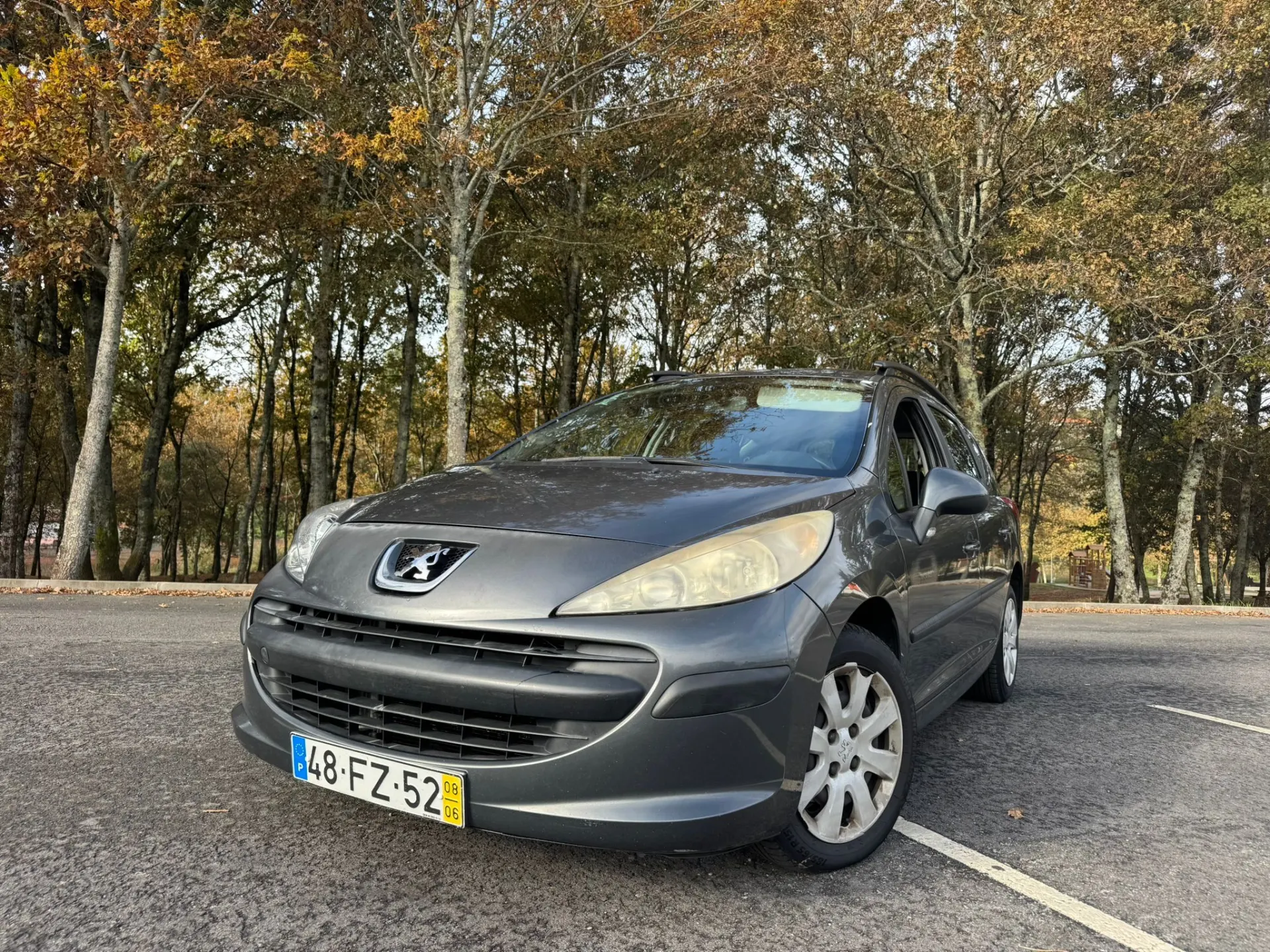 Peugeot 207 5
