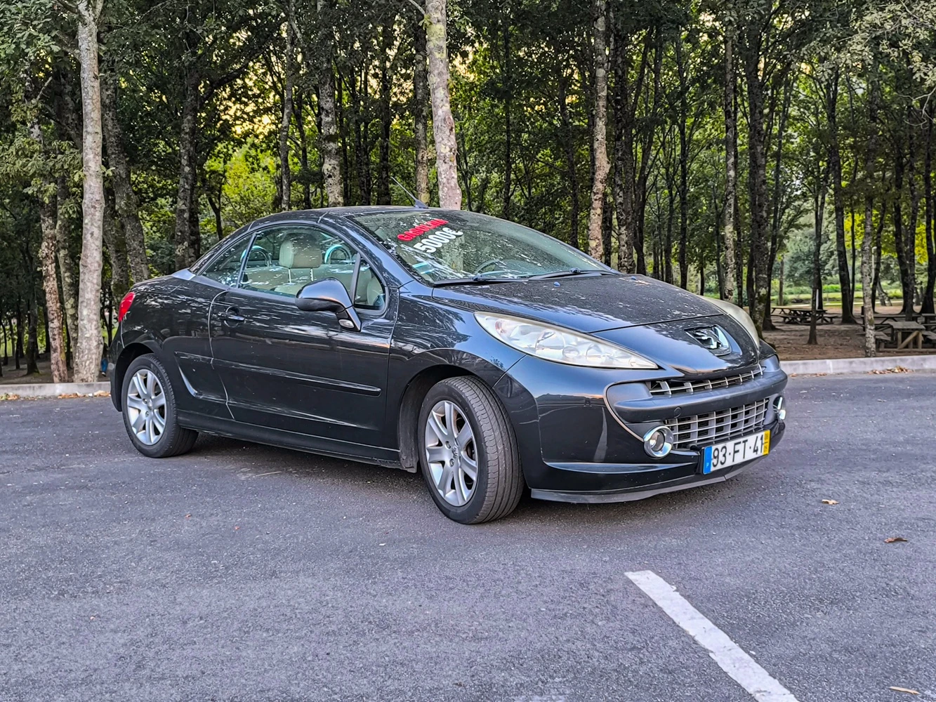 Peugeot 207 5