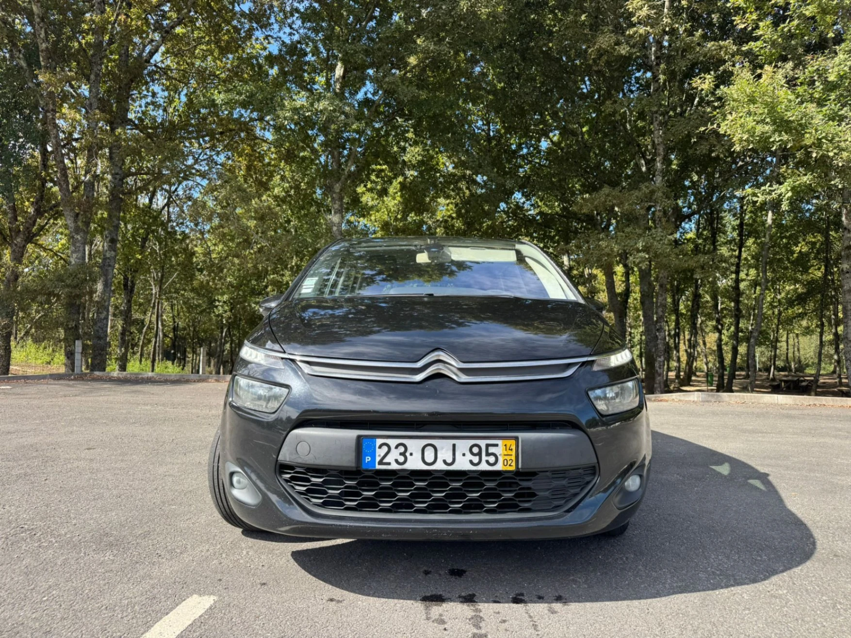 Citroën C4 Picasso 12