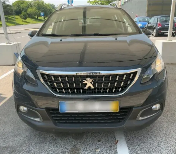 Peugeot 2008 Outro 2