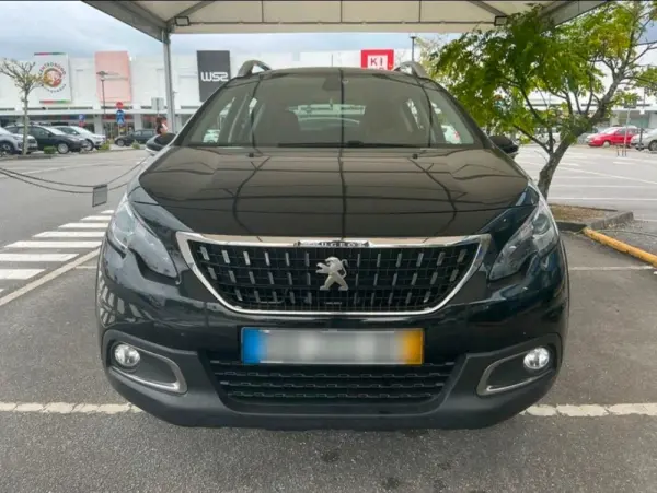 Peugeot 2008 Outro 5
