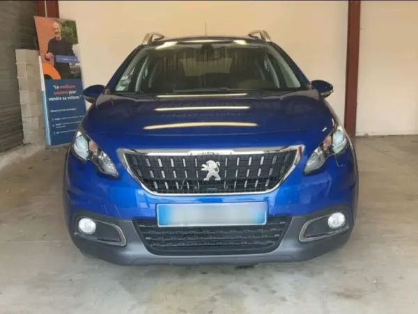 Peugeot 2008 Outro 2