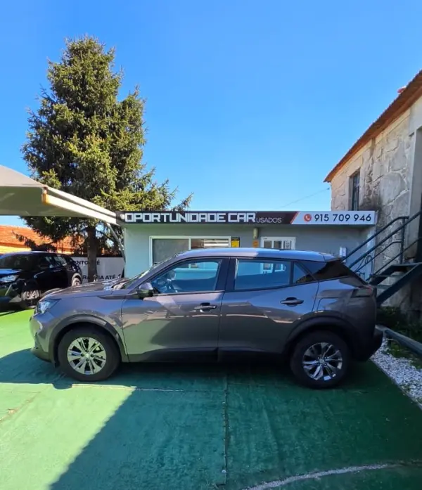Peugeot 2008 Outro 3
