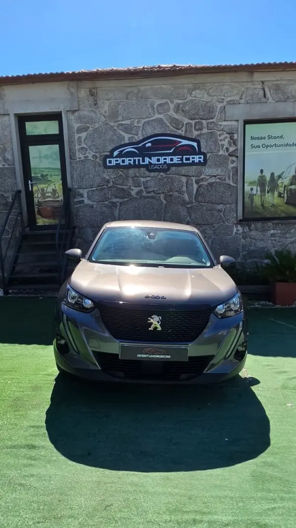 Peugeot 2008 Outro 2
