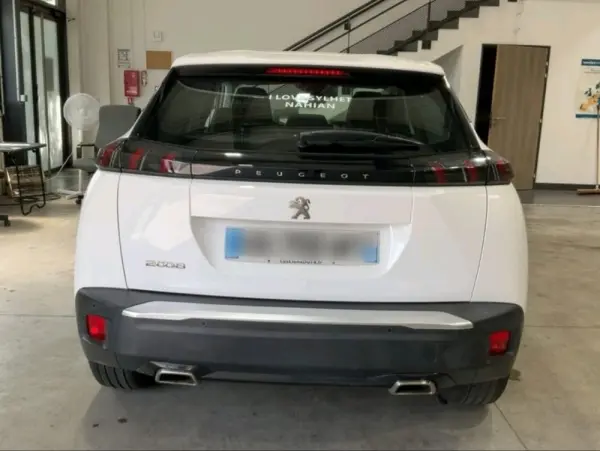Peugeot 2008 Outro 6