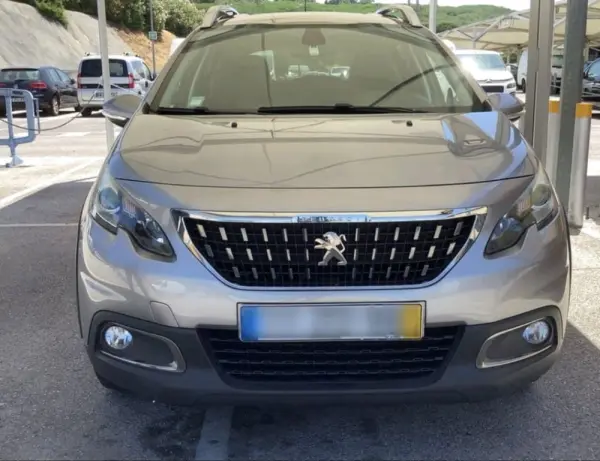 Peugeot 2008 Outro 2