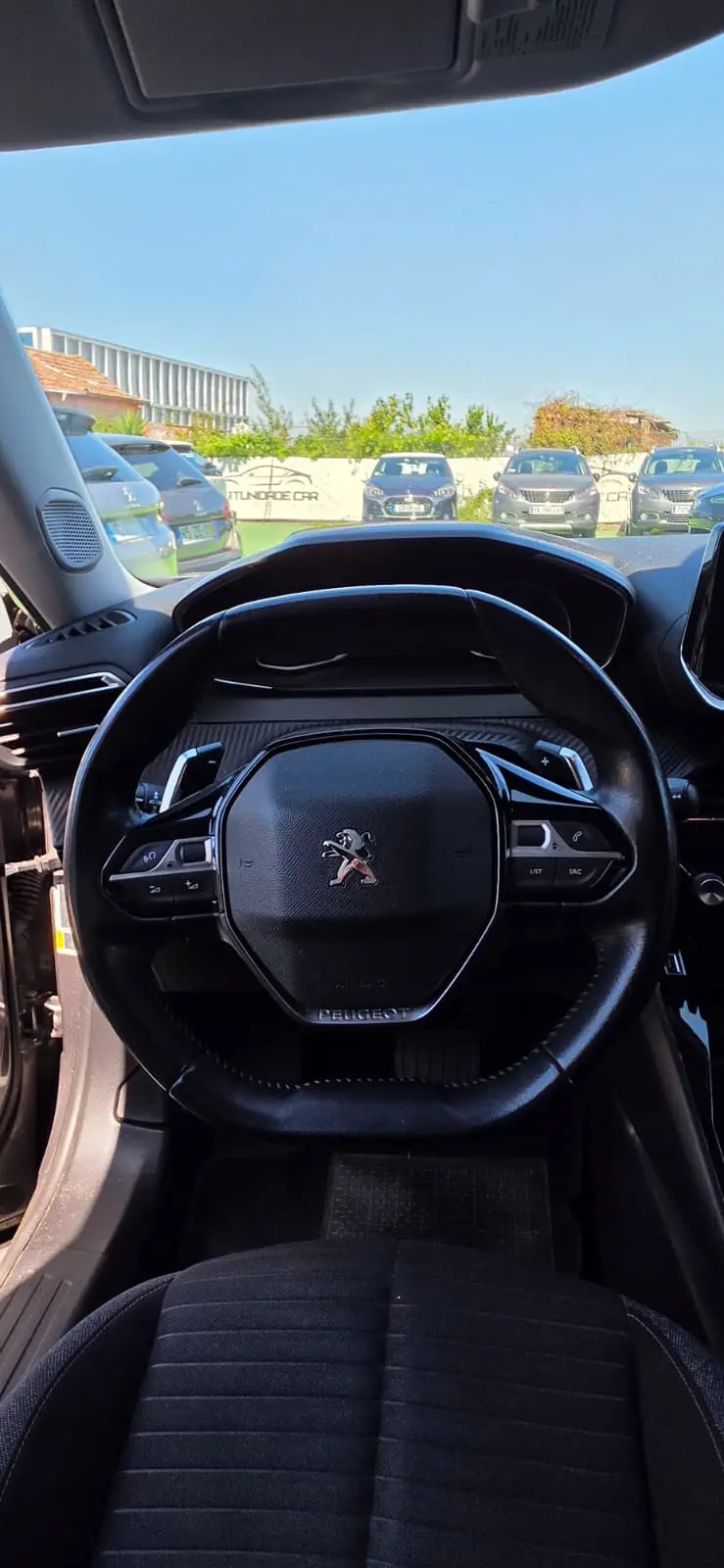 Peugeot 2008 Outro 7