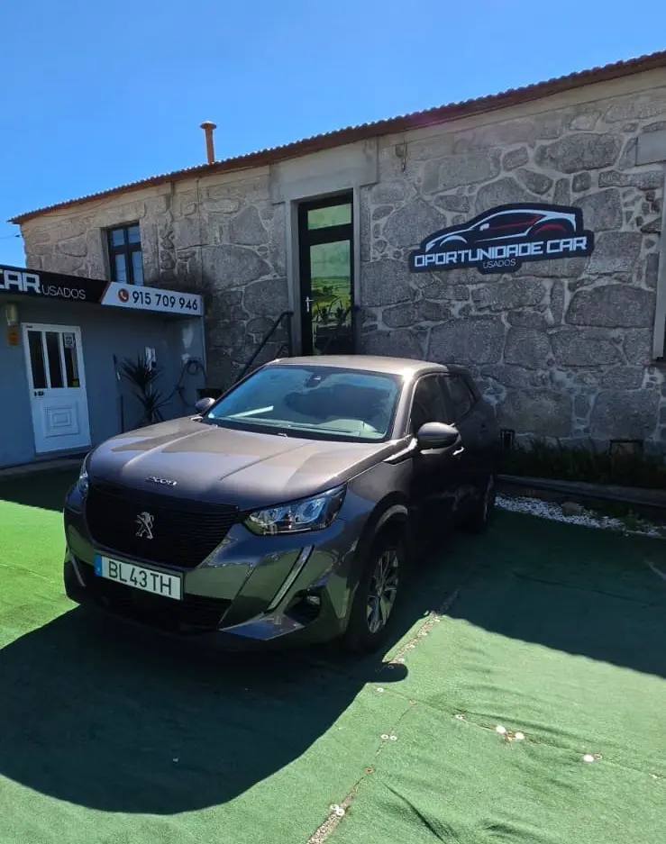 Peugeot 2008 Outro 1