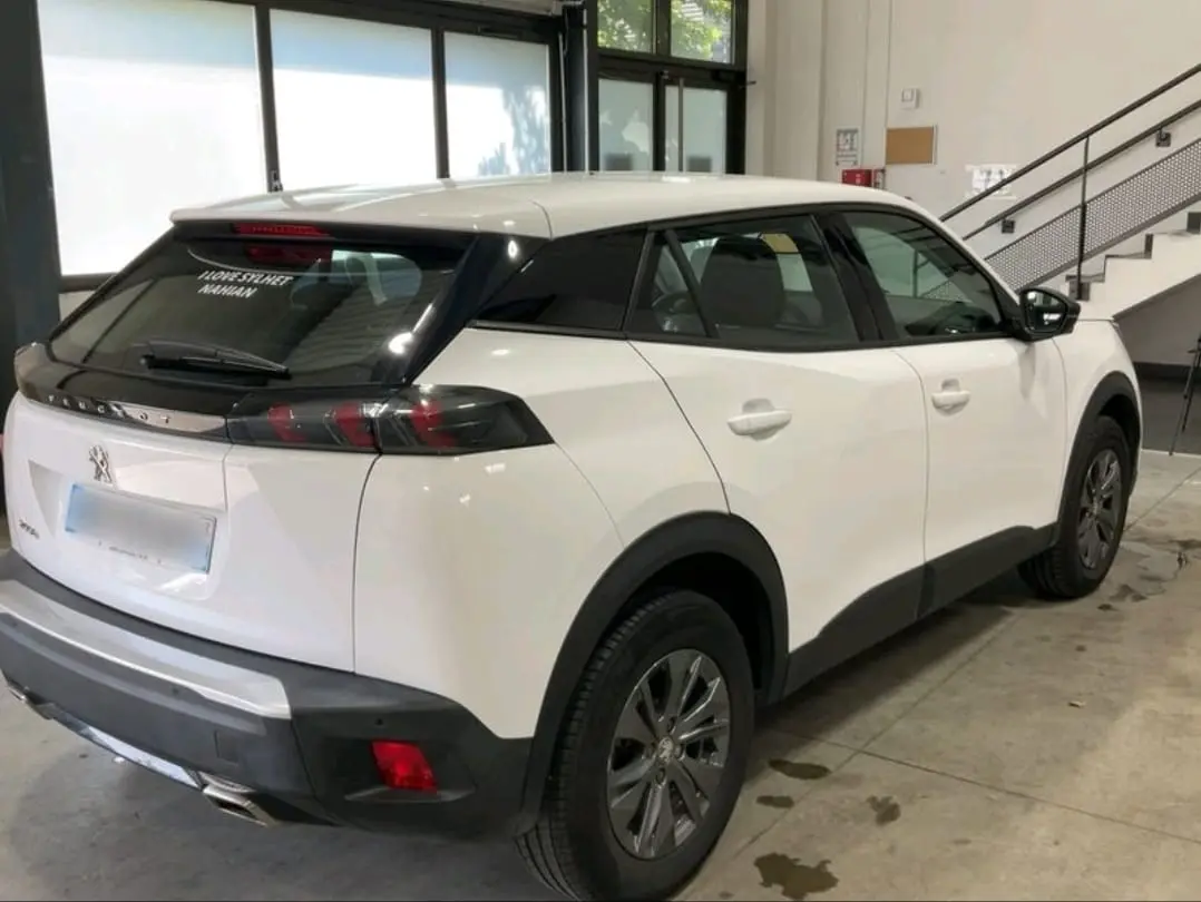 Peugeot 2008 Outro 2