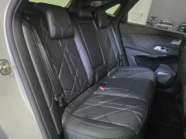 DS DS7 Crossback 29