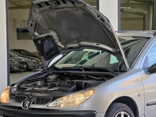 Peugeot 206 SW 1.1 Look 28