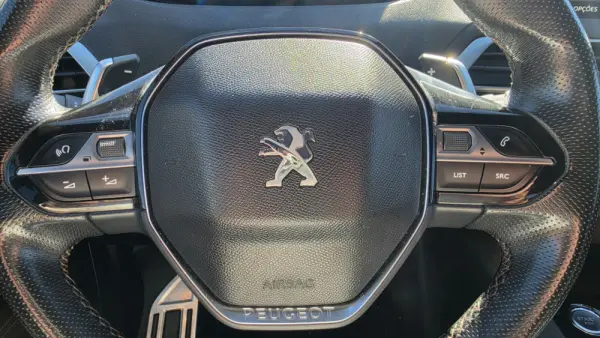 Peugeot 3008 1.6 BlueHDi GT Line EAT6 20