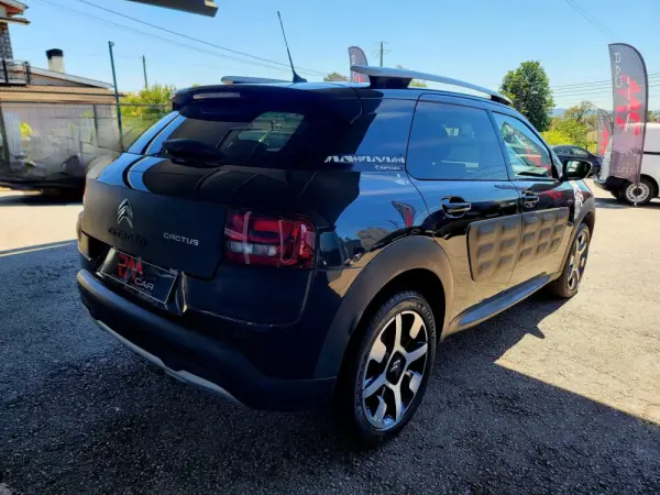 Citroen C4 Cactus 1.6 BlueHDi Rip Curl 7