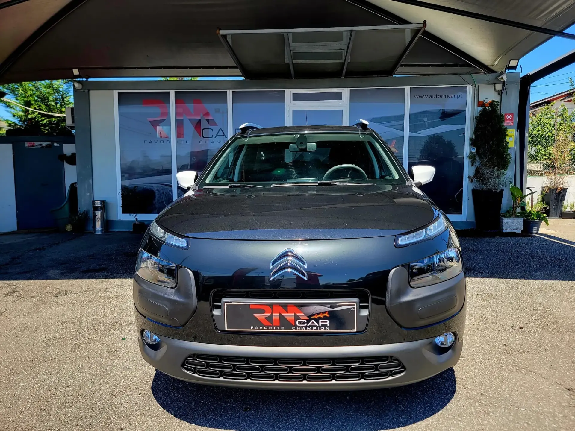 Citroen C4 Cactus 1.6 BlueHDi Rip Curl 3