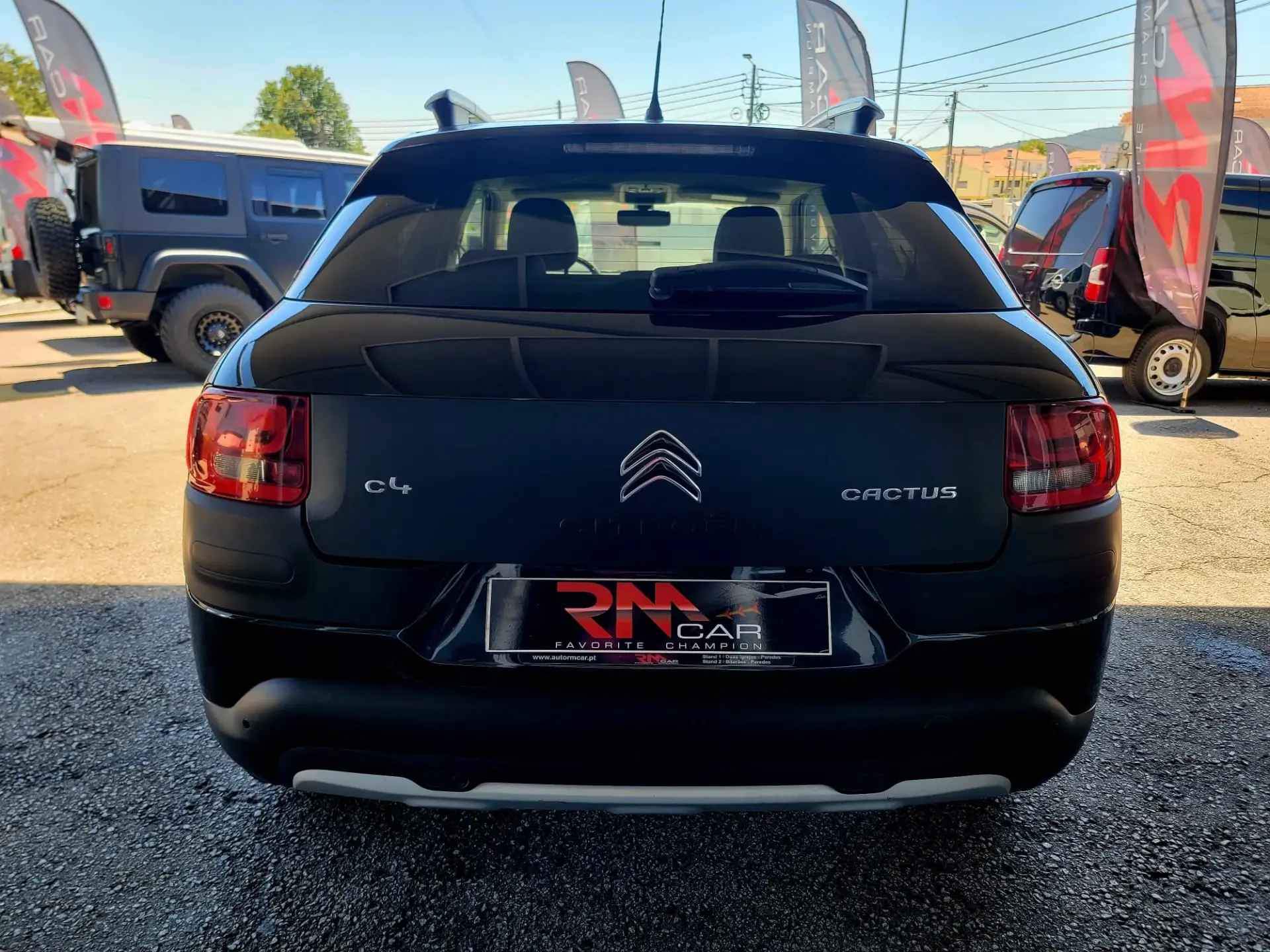 Citroen C4 Cactus 1.6 BlueHDi Rip Curl 6