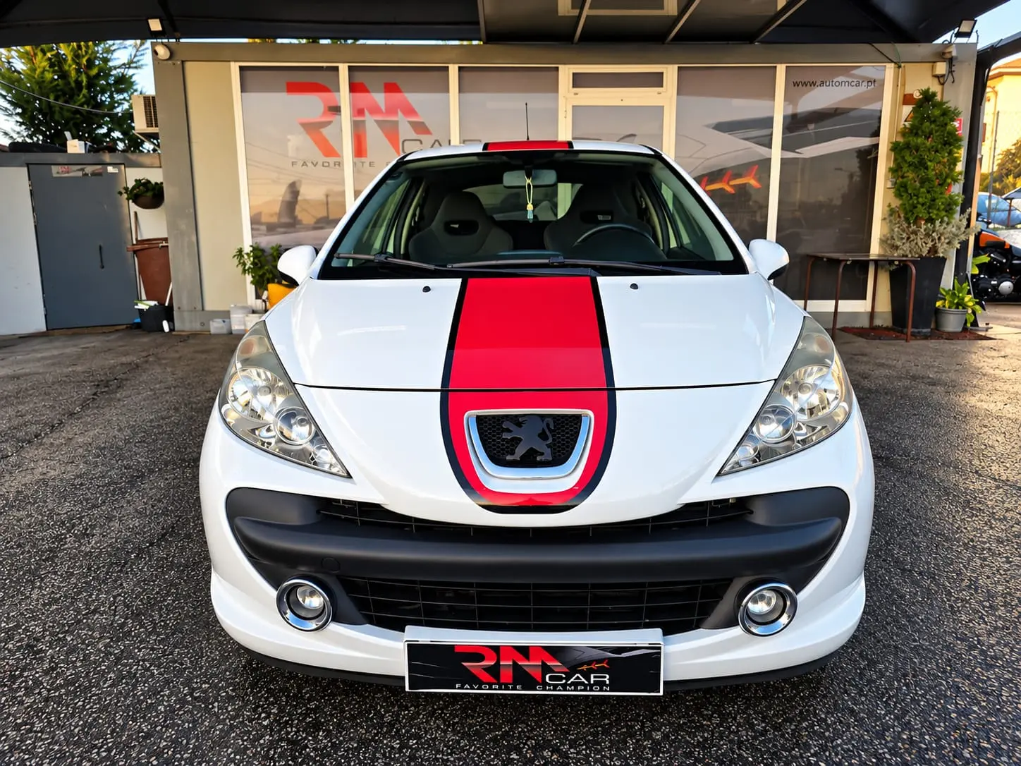 Peugeot 207 1.6 THP 16V Rally 2