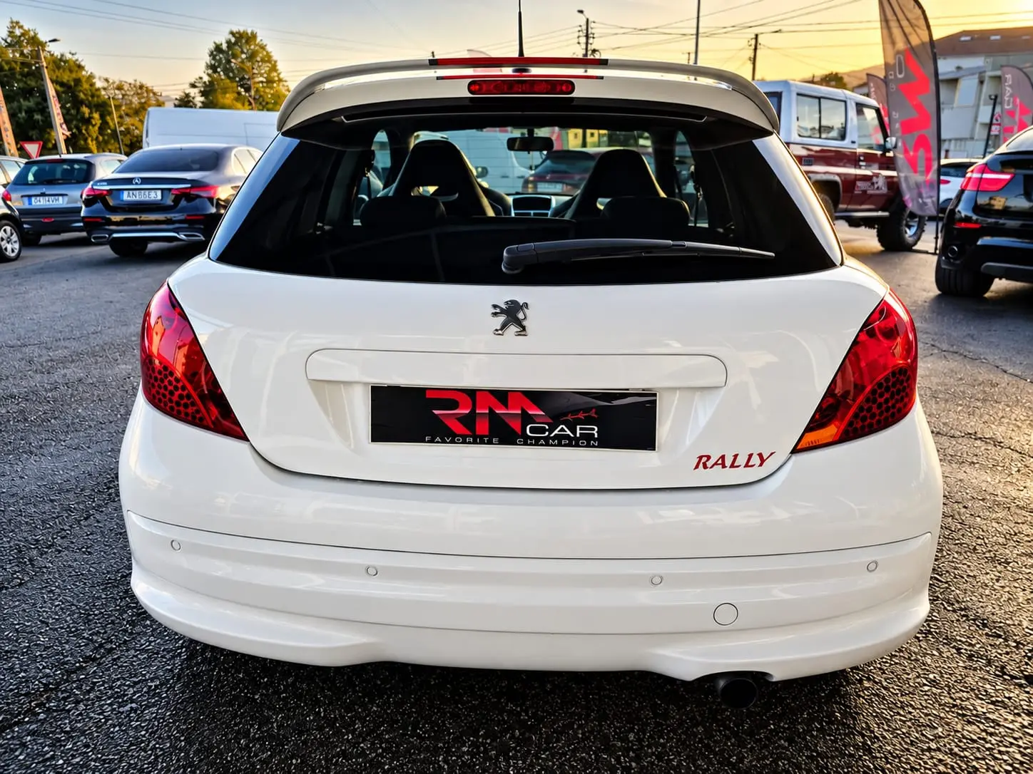 Peugeot 207 1.6 THP 16V Rally 4