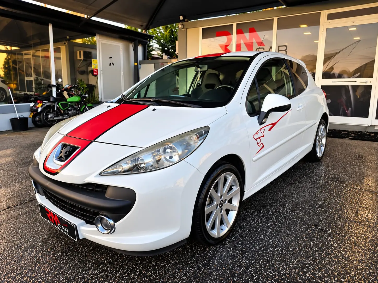 Peugeot 207 1.6 THP 16V Rally 7