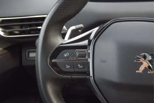 Peugeot 3008 1.6 HYBRID GT PACK e-EAT8 12