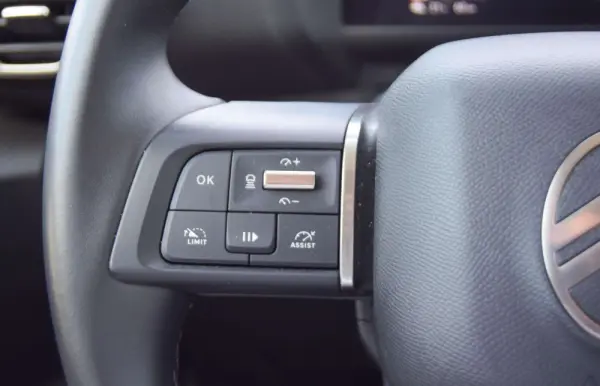 Citroen e-C4 54 KWH MAX 26