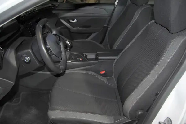 Peugeot 308 1.5 BlueHDi Active Pack 14