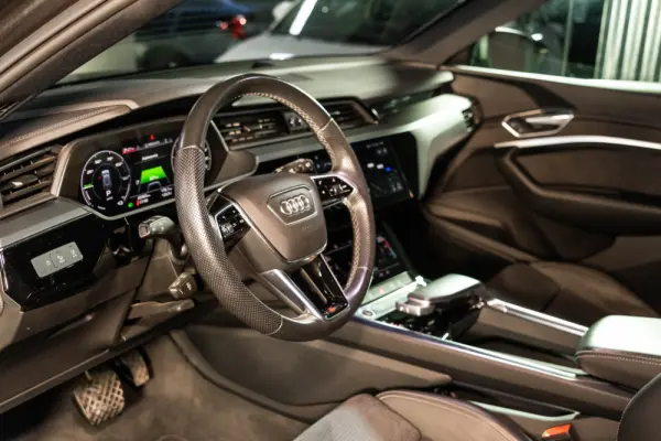 Audi e-tron 55 quattro 15