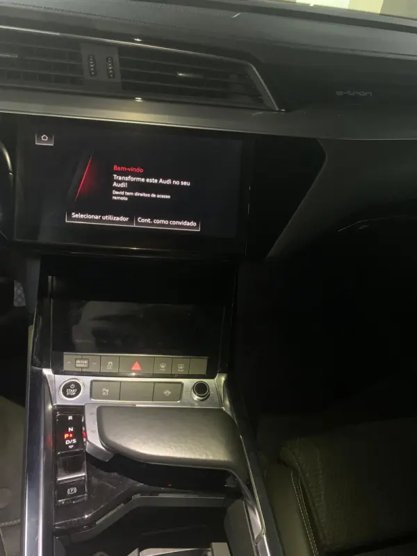 Audi e-tron 55 quattro 12