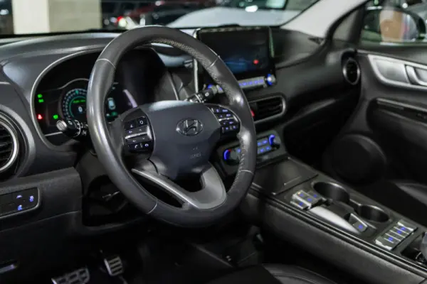 Hyundai Kauai EV 64 kWh Premium 19