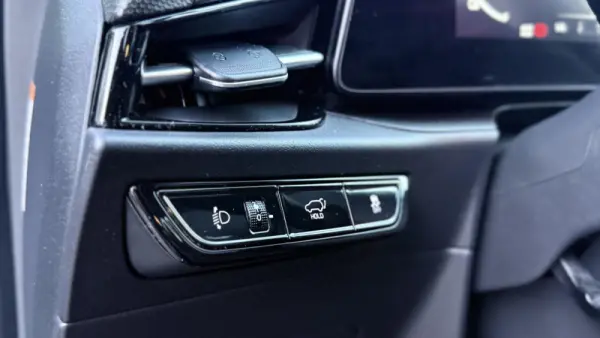 Kia Niro EV Premium Business 19