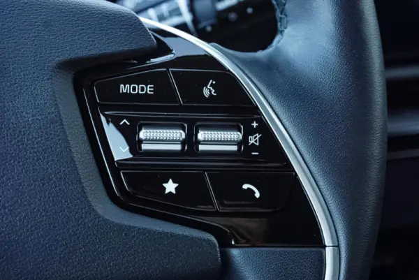 Kia Niro EV 64kWh Tech Premium Business 18